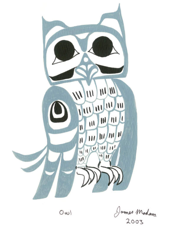 Blue Grey Owl