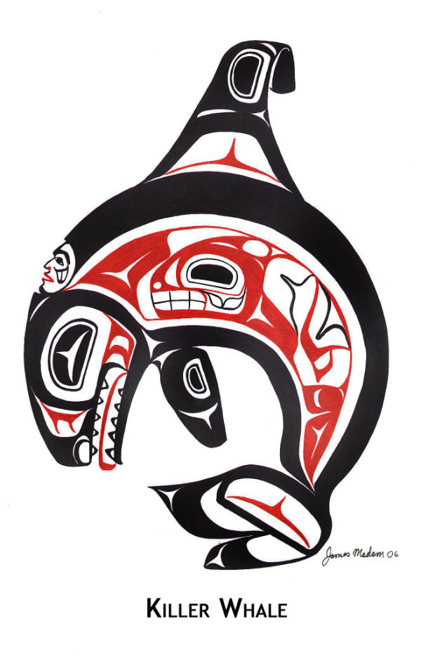 Orca